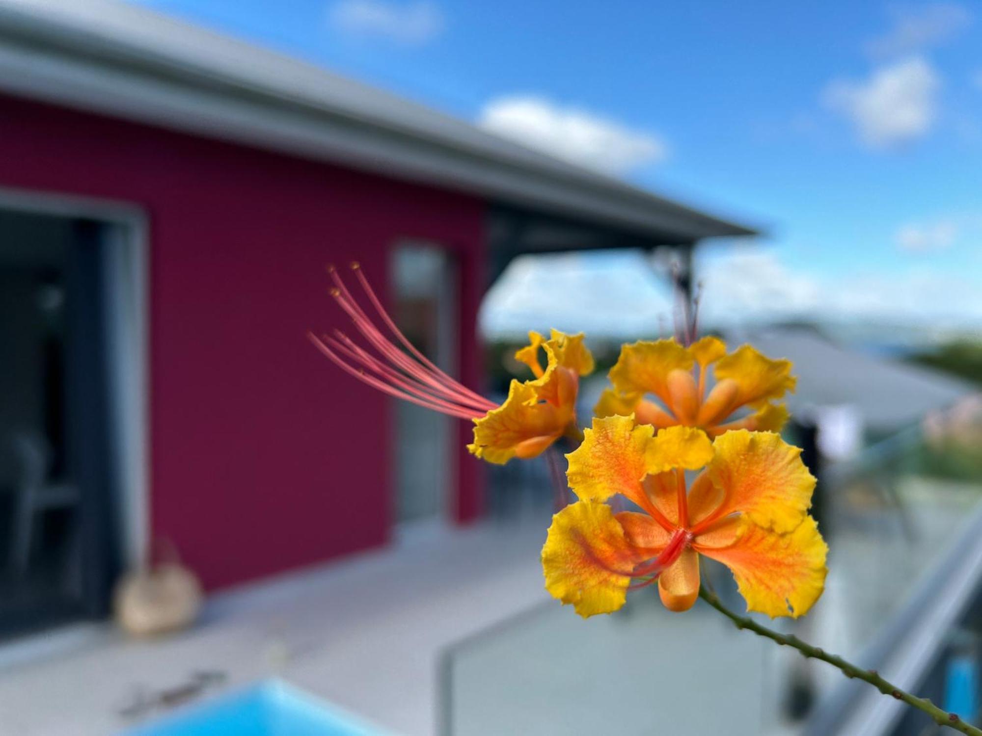 La Villa Jalna Grenadine Deux Chambres Et Piscine Privee เลส์ทรัวส์-ซีเลต์ ภายนอก รูปภาพ