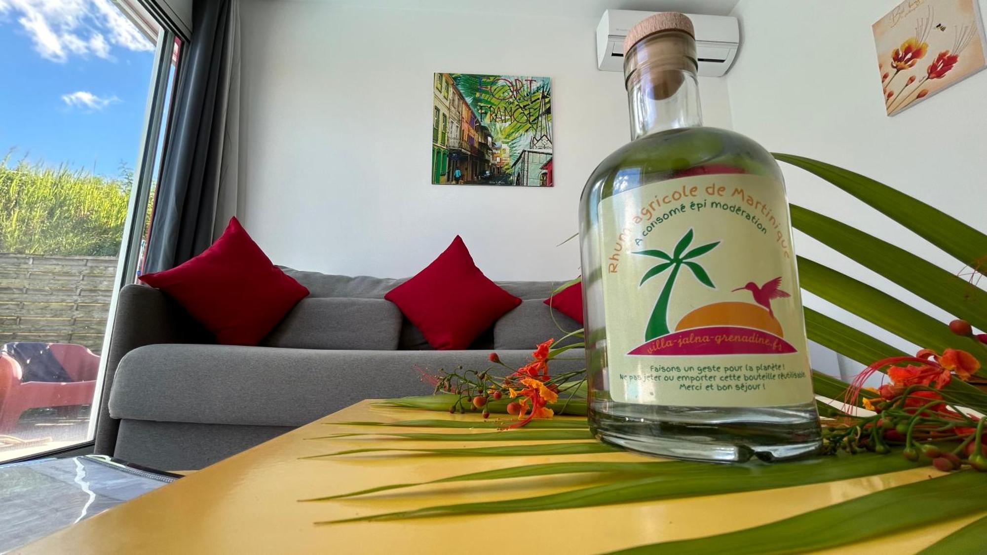 La Villa Jalna Grenadine Deux Chambres Et Piscine Privee เลส์ทรัวส์-ซีเลต์ ภายนอก รูปภาพ