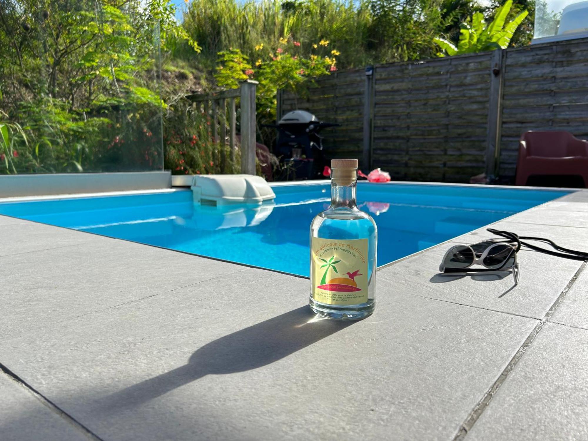 La Villa Jalna Grenadine Deux Chambres Et Piscine Privee เลส์ทรัวส์-ซีเลต์ ภายนอก รูปภาพ
