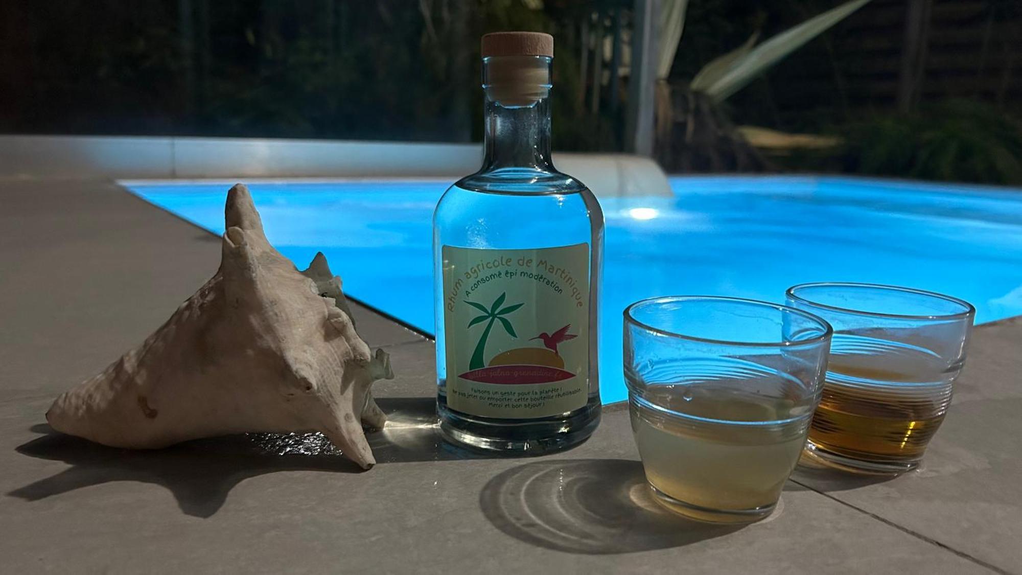 La Villa Jalna Grenadine Deux Chambres Et Piscine Privee เลส์ทรัวส์-ซีเลต์ ภายนอก รูปภาพ